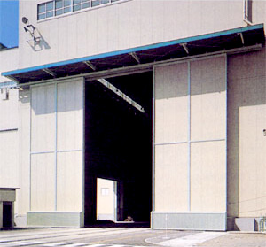 Heavy Automatic Door DSN-500